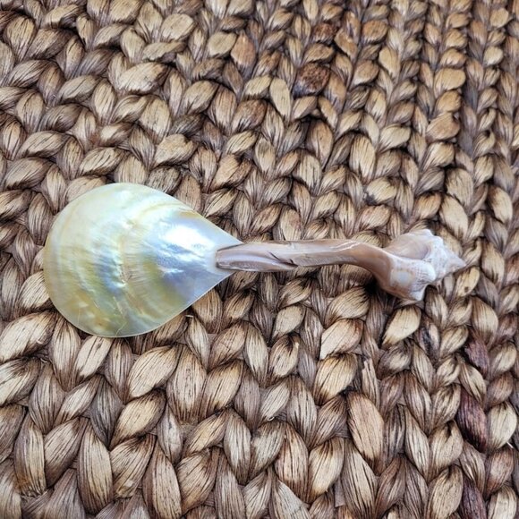 NEW Seashell Serving Set Mother Pearl Handmade Beach Wedding Party Boat Seaside - Picture 3 of 9